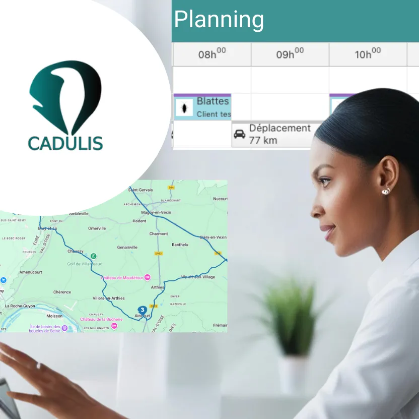 Interface do software Cadulis mostrando o planejamento das intervenções de campo