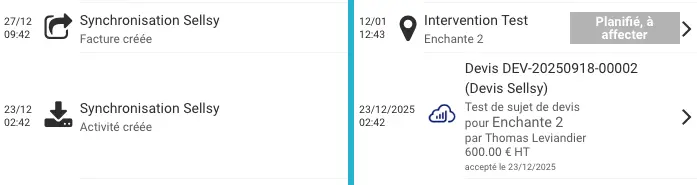 Consola de logs de los intercambios Sellsy/Cadulis
