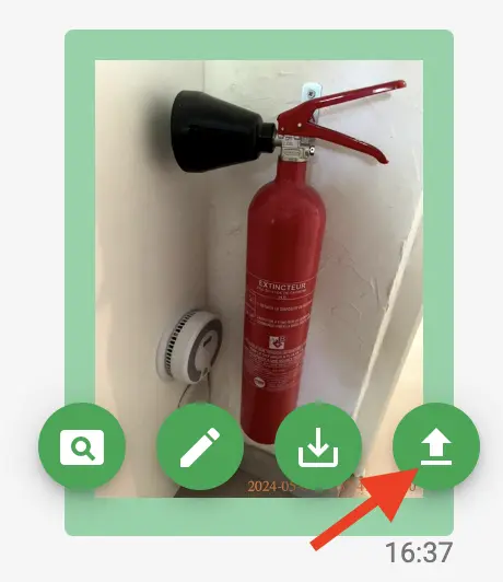 Envío de Speakylink a Cadulis